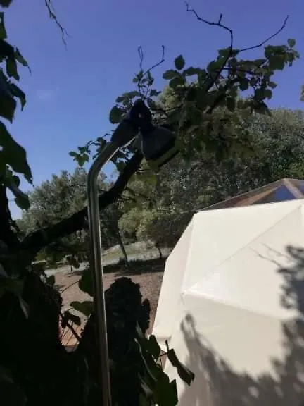 Camping Sous Les Etoiles Hotel Saint-Michel-l'Observatoire France